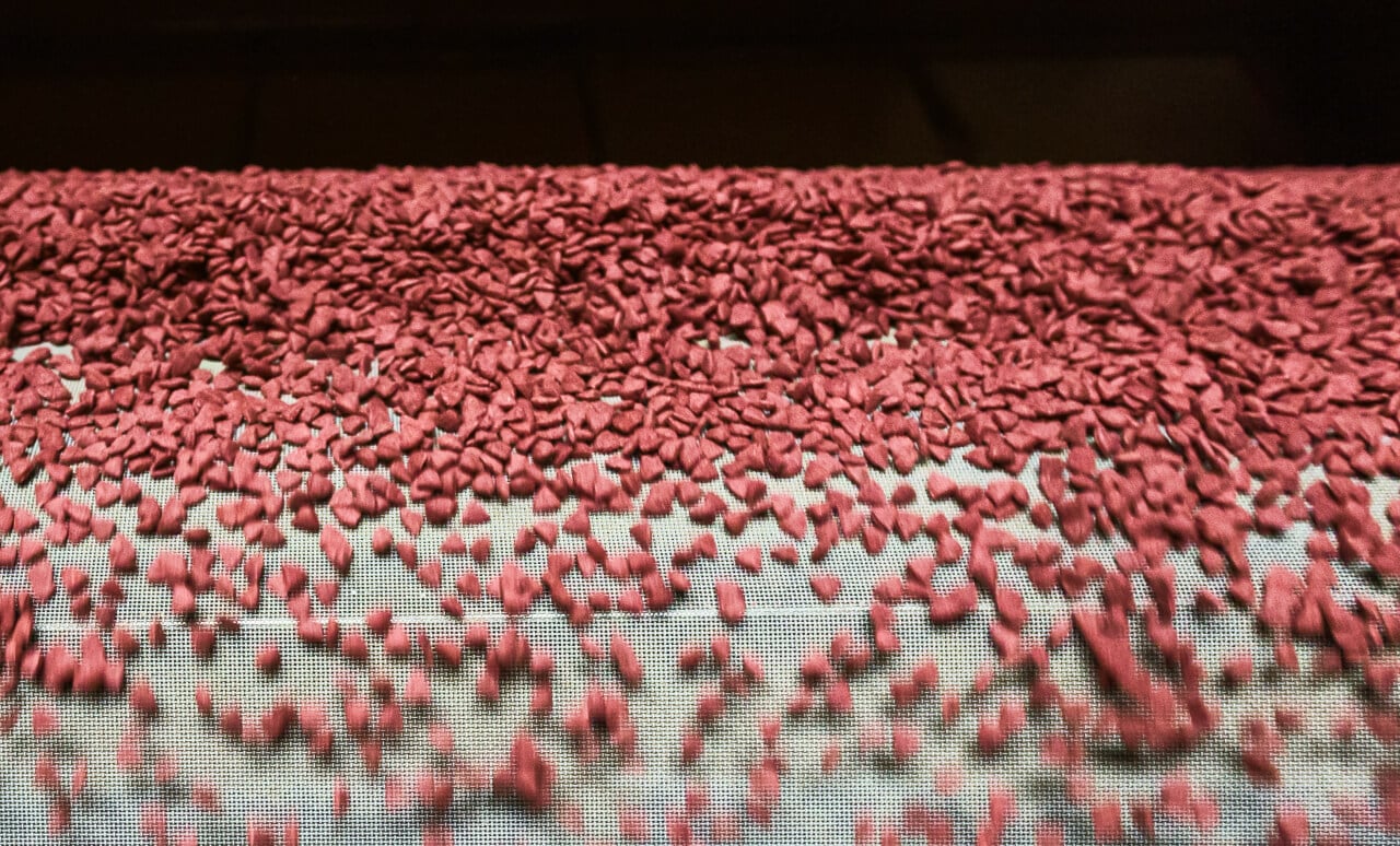 reddish looking dry dog food pellets on a conveyor belt
